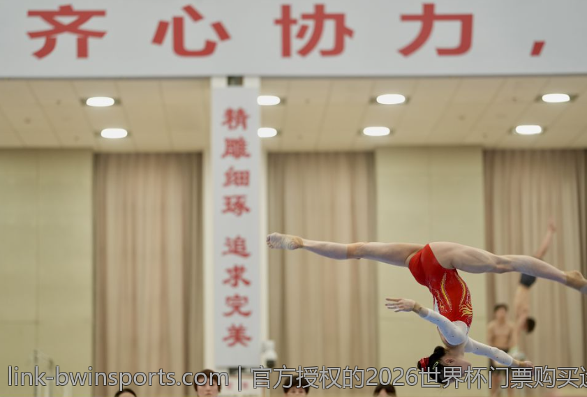 官方授权的2026世界杯门票购买途径详解