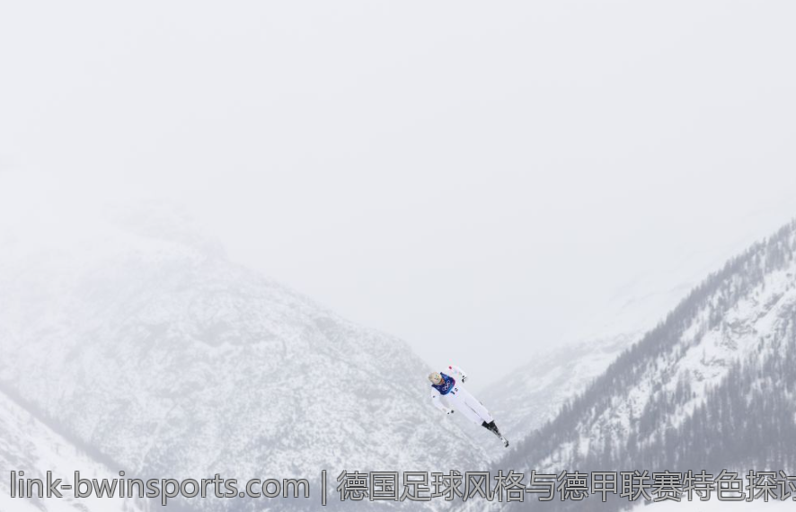 德国足球风格与德甲联赛特色探讨